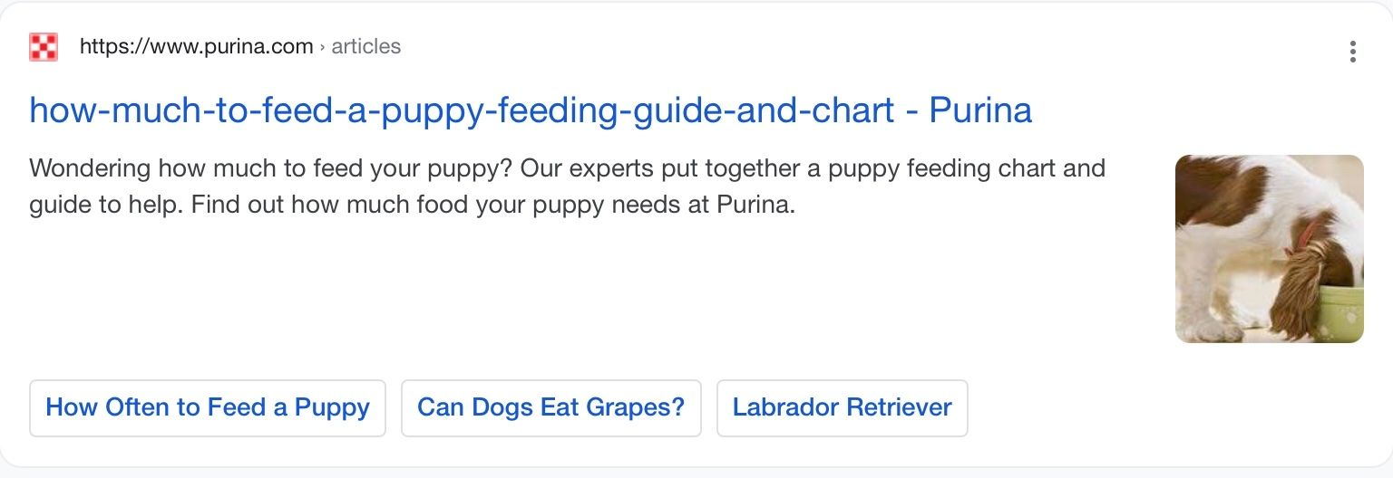 screenshot of Purina title 'how-much-to-feed-a-puppy-feeding-guide-and-chart'