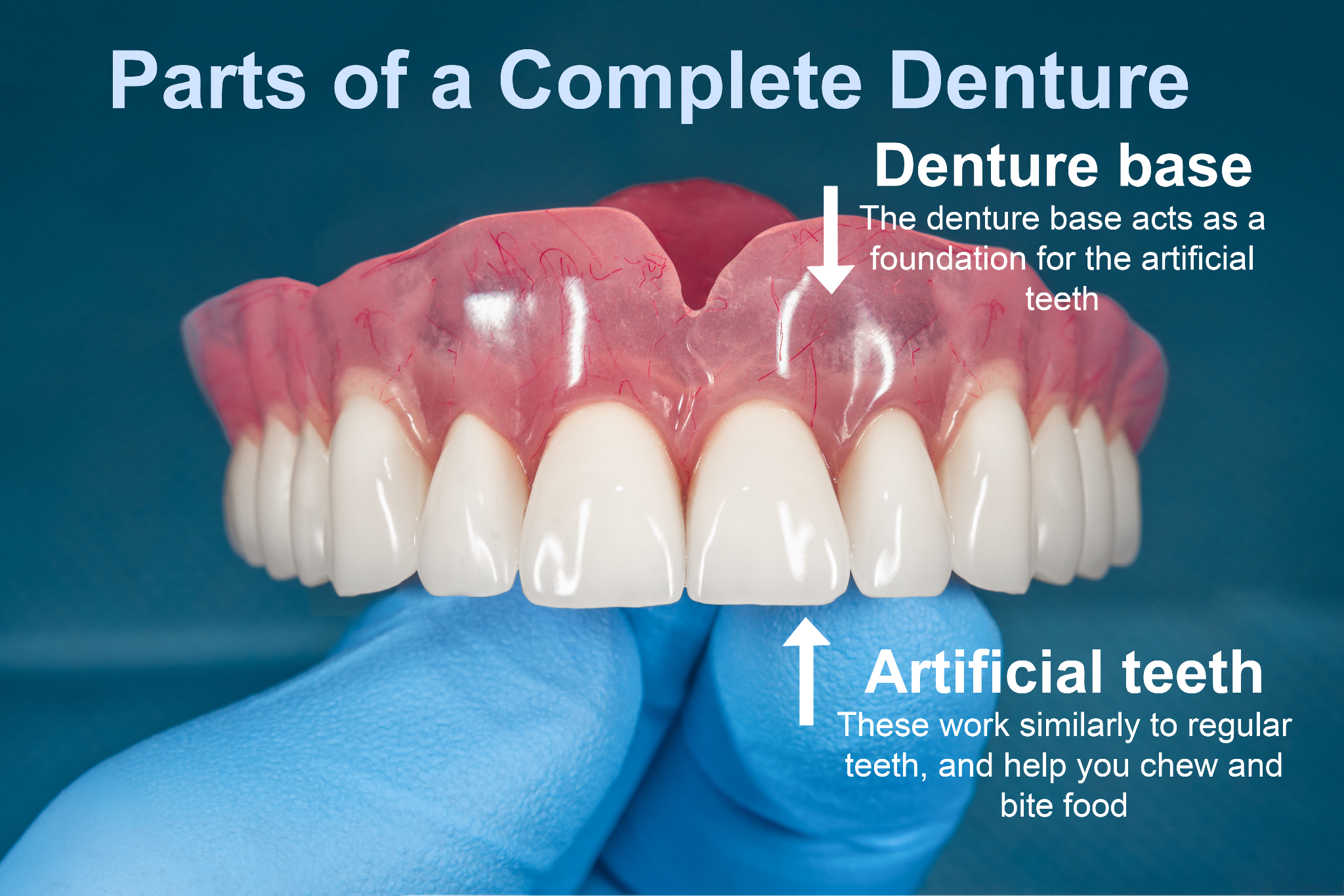 Artificial Teeth Image