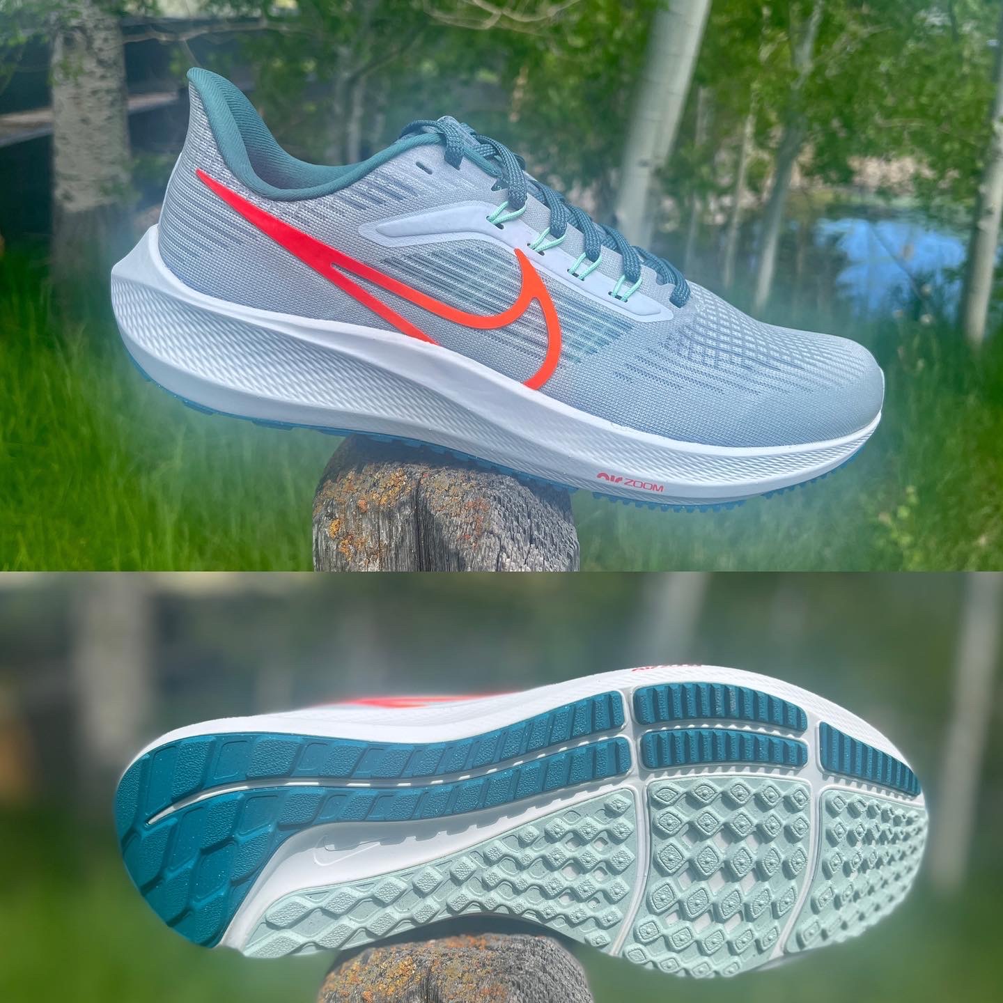 nike pegasus 37 vs new balance 880