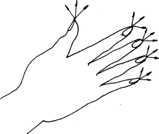 33