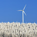 More Nordic wind power for our European data centers