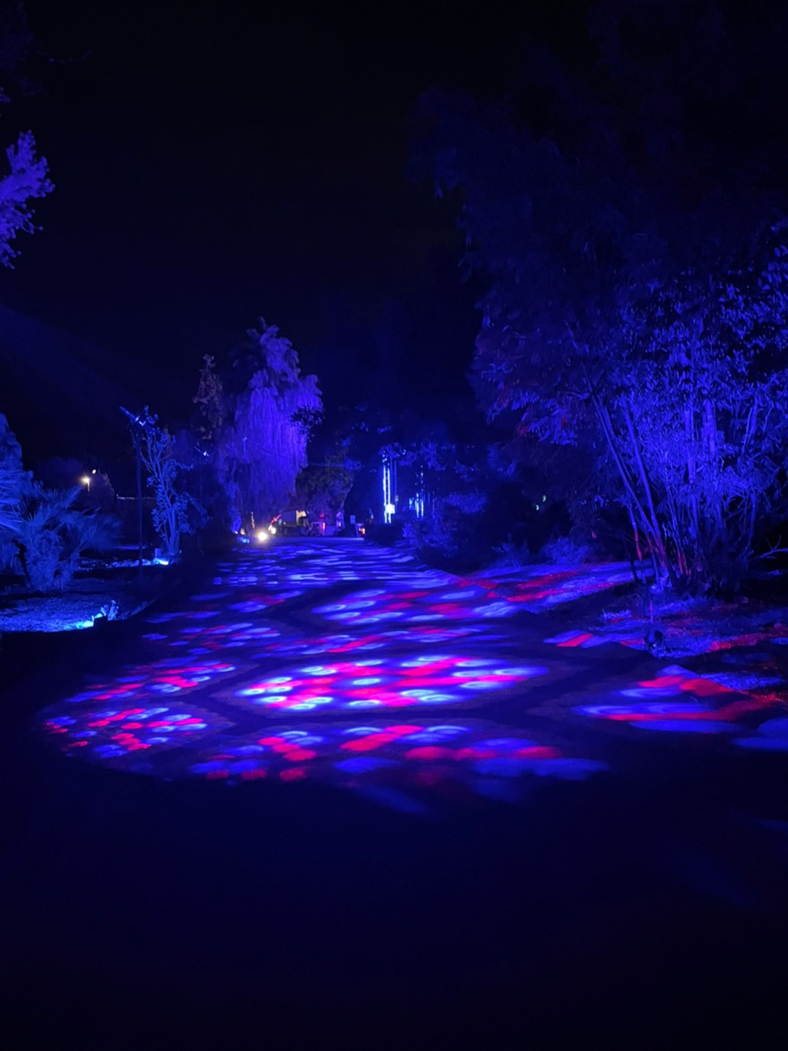 los angeles arboretum lightscape holiday lights