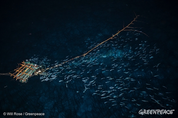 FADs in the Indian Ocean Aerial view of a FAD (fish aggregating device) at night. Greenpeace is in the Indian Ocean to document and peacefully oppose destructive fishing practices.