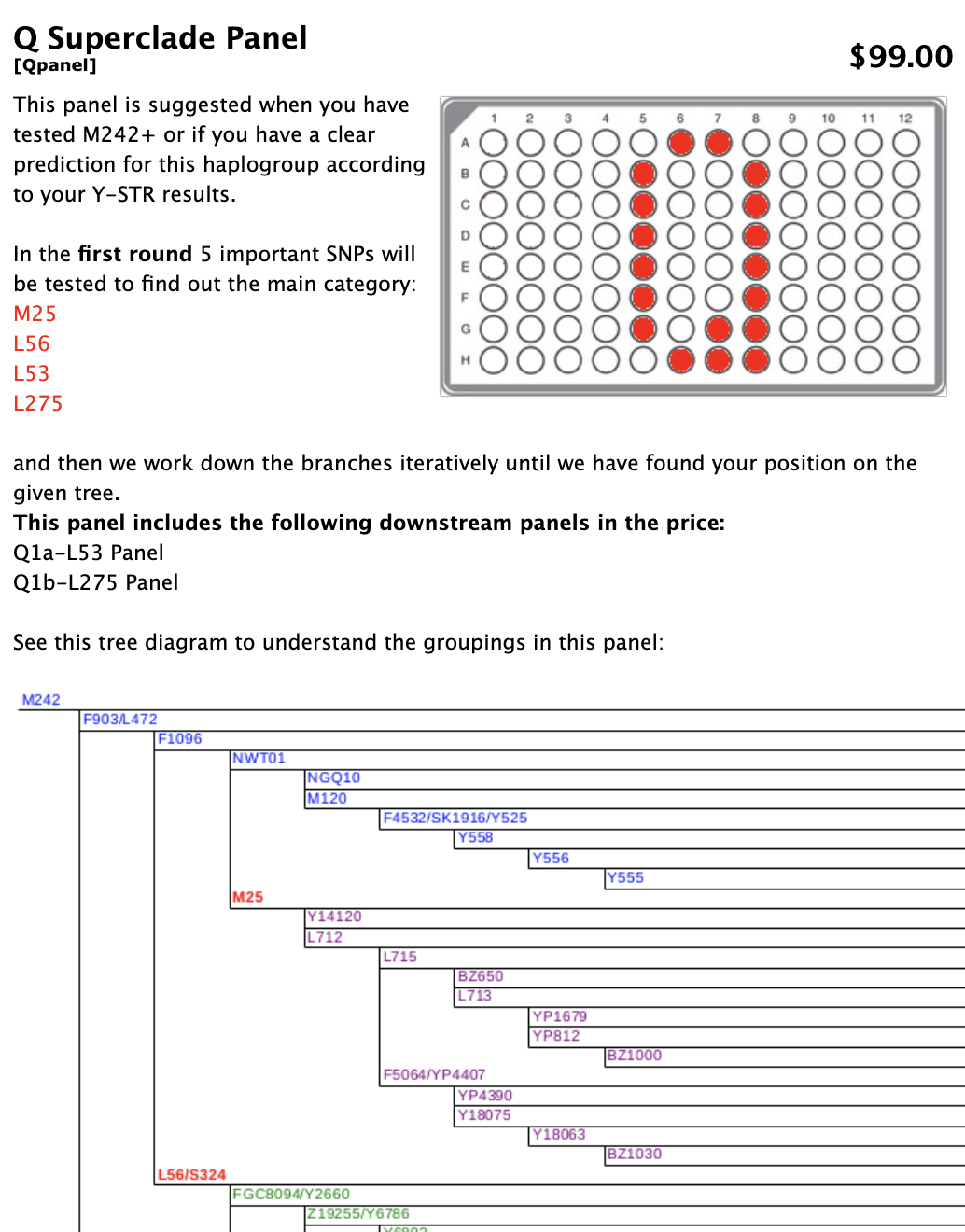 Detalles del panel Q Superclade con un diagrama de un panel con varios círculos coloreados en rojo. En la parte inferior, un diagrama de árbol que explica las agrupaciones del panel