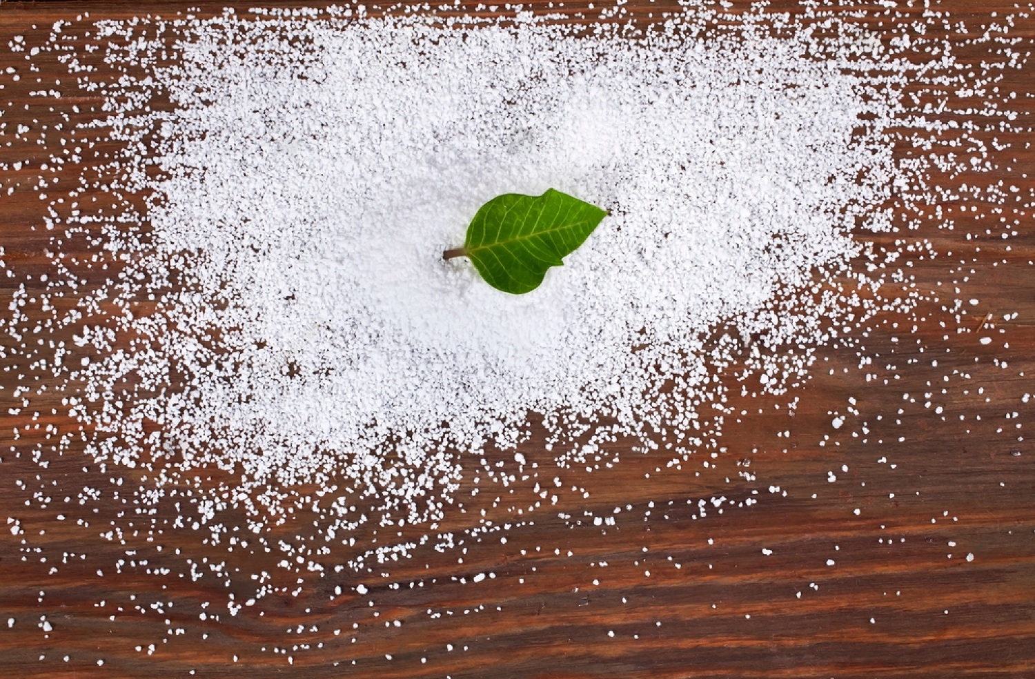 Is Sorbitol Safe For Dogs? 6 m4VWDyE6s3rQ7Ii0lj1cKDcjcHy3CG7UsgixP63r0fOb1nxBxcbCme PD8moOAa6p7T 8qZho9Q90h9EBt9mvv4E7tiL3uXtGOyBrQyL6sp 5I3f7Jabz mVn VKnc7oZ35q6gfIGoNftduAQvTLAq0