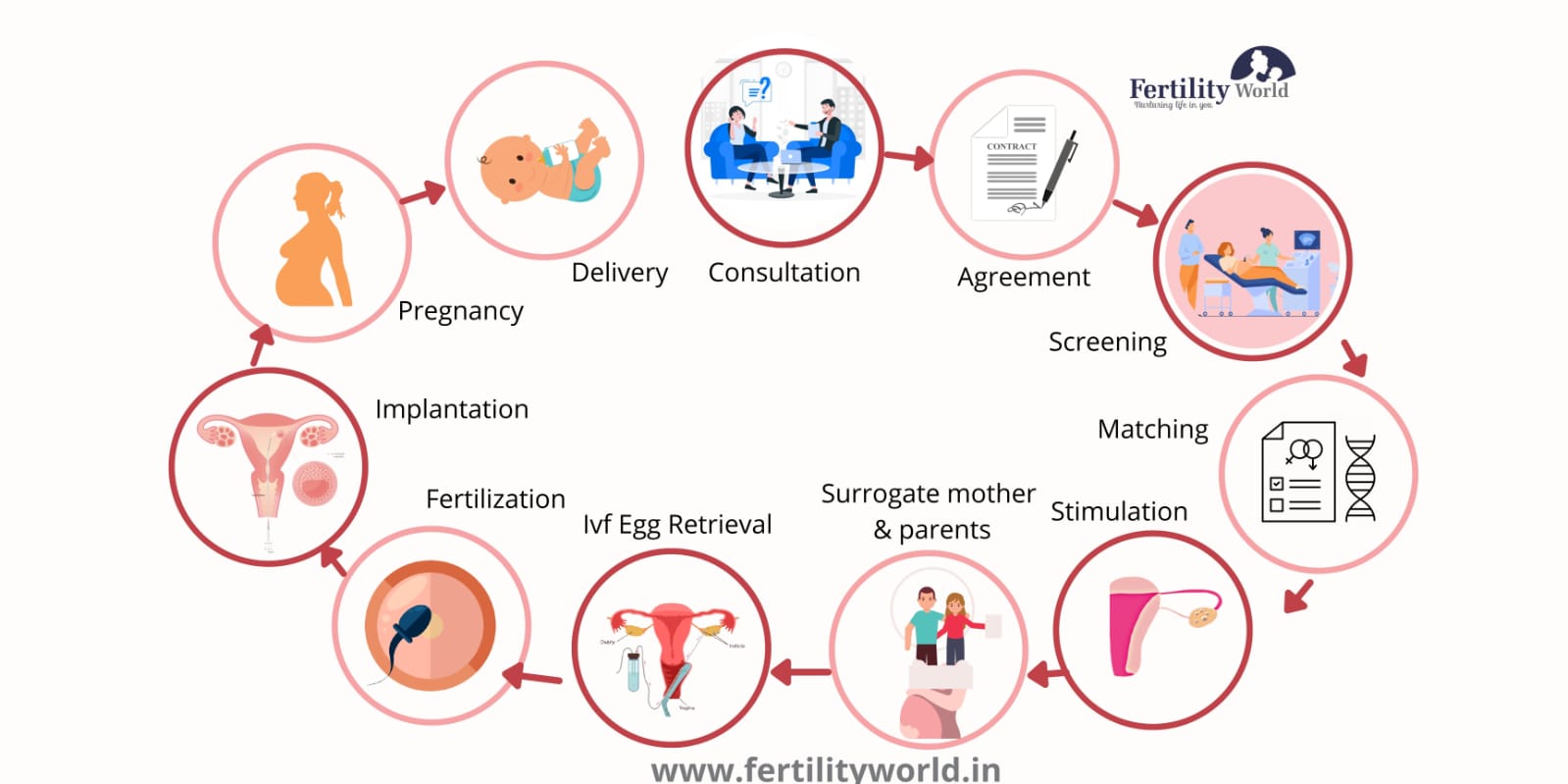 What is the surrogacy process?