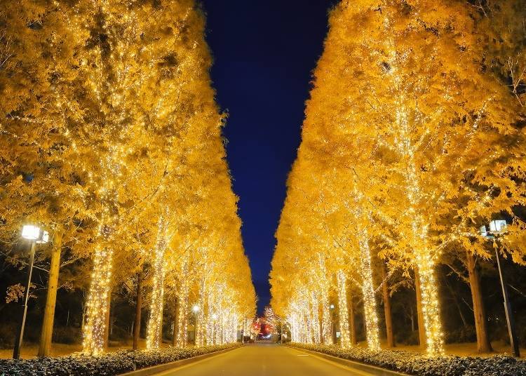 5. Kyoto’s “Rohm Illumination” – Fantastic Light and Music