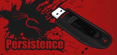 KALI LINUX live usb boot.