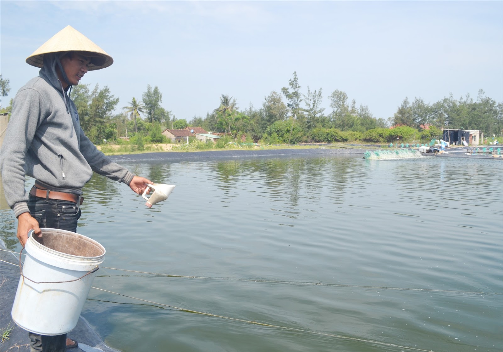 Chế phẩm sinh học có tác dụng thế nào trong môi trường nước