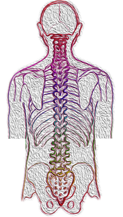 Adult Scoliosis: What Are The Symptoms And How Is It Treated 1