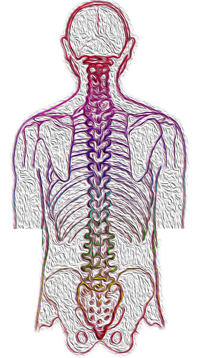 Adult Scoliosis: What Are The Symptoms And How Is It Treated
