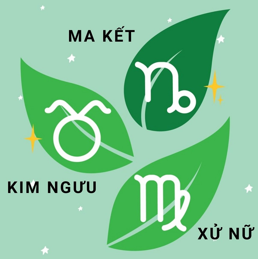 Nhóm nguyên tố Đất gồm: cung Kim Ngưu ♉, cung Xử Nữ ♍ và cung Ma Kết ♑