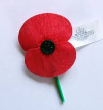 Image result for poppy flower anzac