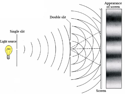 The Double Slit Experiment And The Quantum Eraser Modern Optics