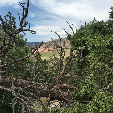 There are some nice nearby hikes on the Dakota Ridge hogback. 