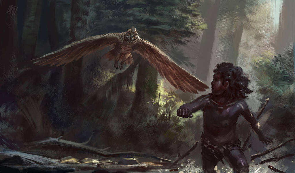 Haast's Eagle attacking a human : r/Naturewasmetal