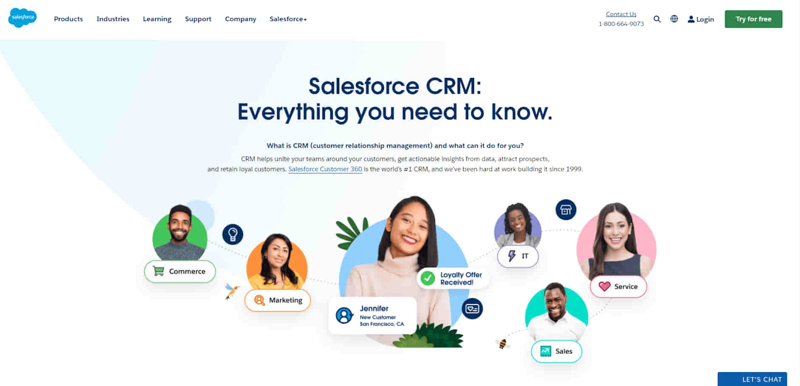 Salesforce professional CRM