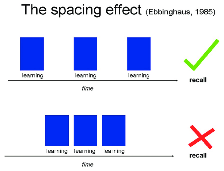 Image result for the spacing effect