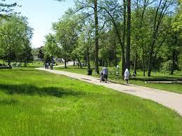 dog parks in medford