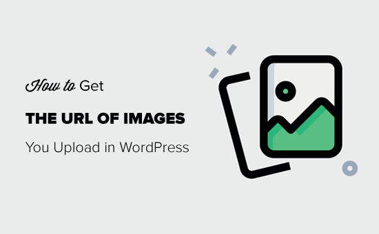Como obter o URL das imagens que você carrega no WordPress