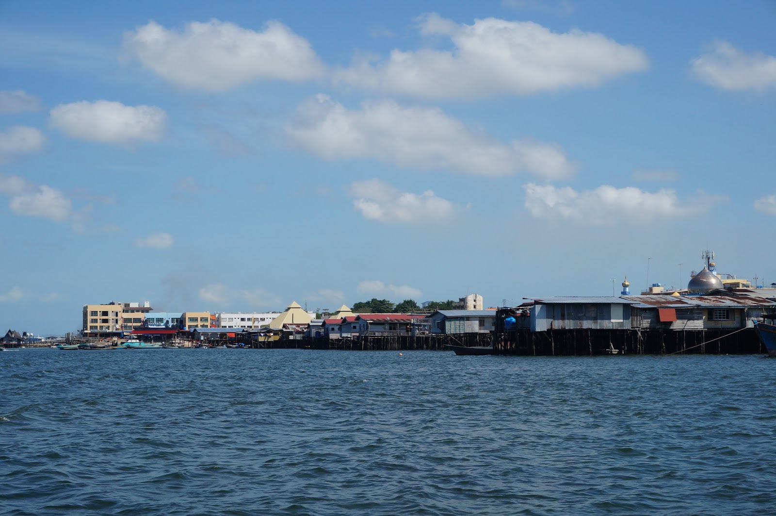 DSC08166.JPG