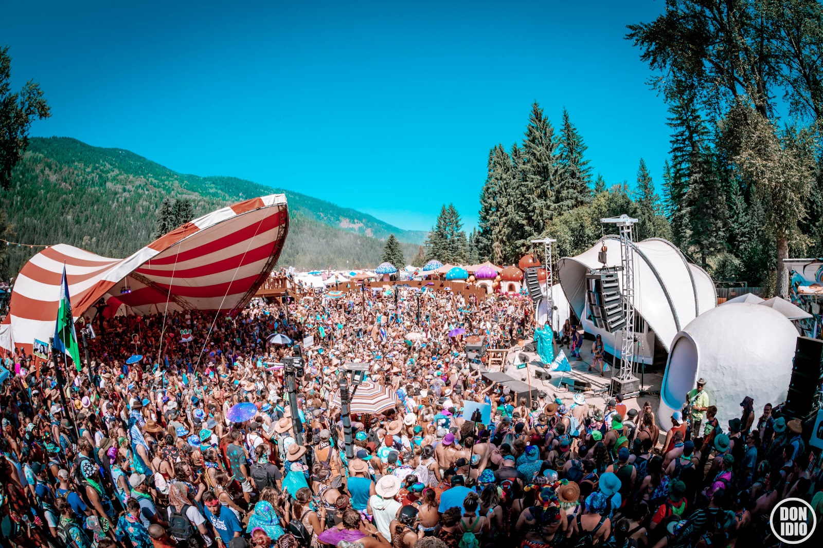 Music festivals deals in