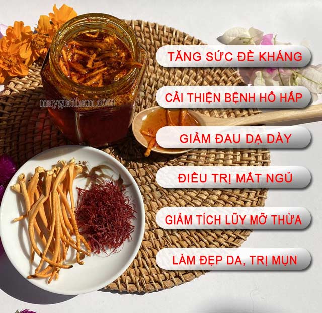 Các công dụng của affron ngâm đông trùng hạ thảo