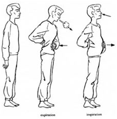 respiration-abdominale.jpg