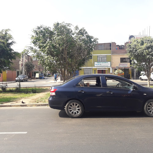 Av. Los Postes Este 189, San Juan de Lurigancho 15419, Perú