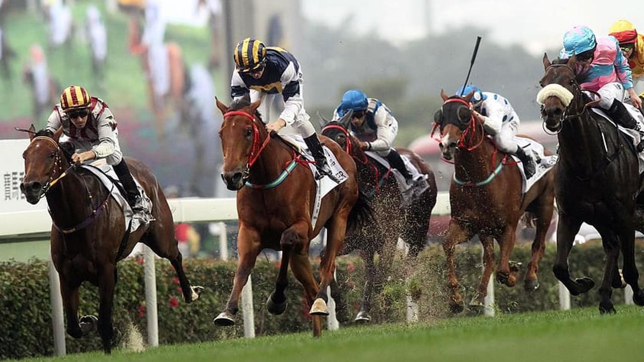 The battle for supremacy in the stands is often far more competitive than those fought out on the turf between the thoroughbred racehorses worth millions of dollars and the fearless jockeys sat in the saddle, working tooth and nail to drive their mount to glory. 