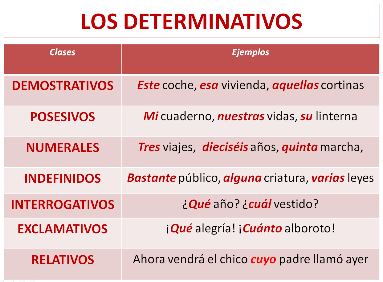 Resultado de imagen de ejemplo de determinantes en la oración