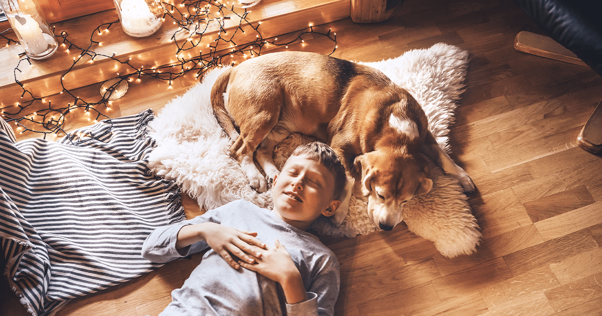 dog relaxing with boy at Christmas