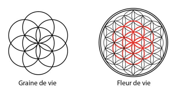 Fleur de vie : signification, bienfaits, modèles à imprimer