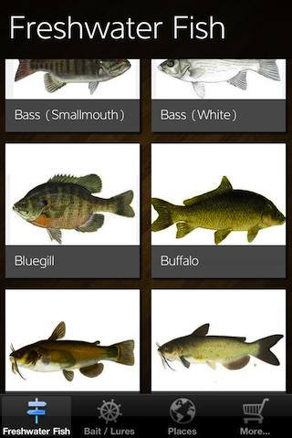 Freshwater Fishing - ID, Lures apk