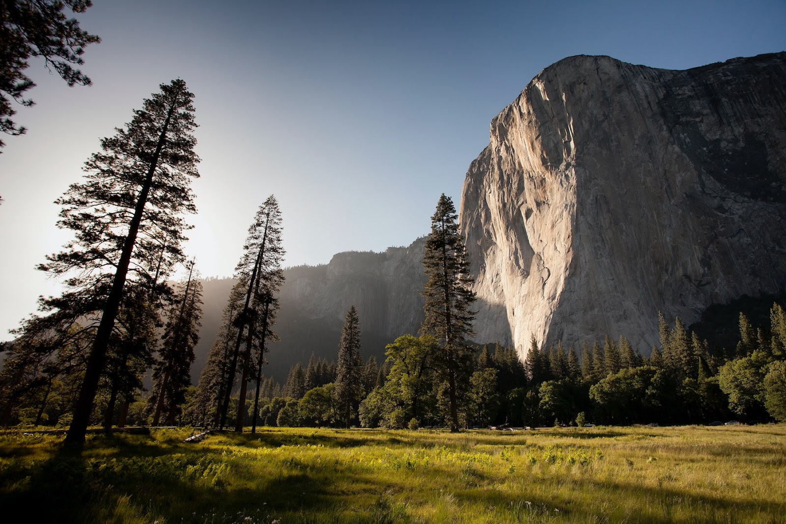 Mountain meadow