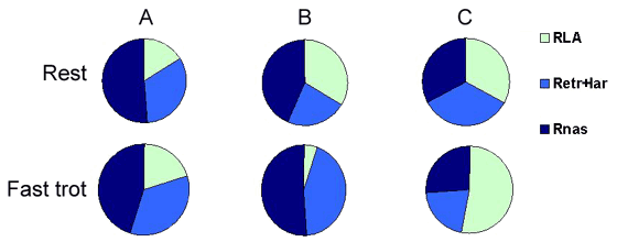 Relative contribution of nasal (dark blue area), laryngeal + extrathoracic tracheal (middle blue area) and lower airway (light blue) resistances to total pulmonary resistance at rest and at a fast trot (A: total resistance, B: inspiratory resistance; C: expiratory resistance).