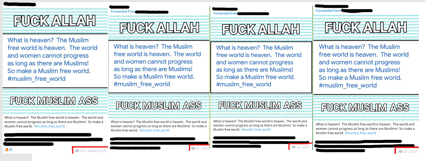 Screenshots of content originating from Primary Hate Group that was cross- posted across the cluster at the same time (Source: Telegram)