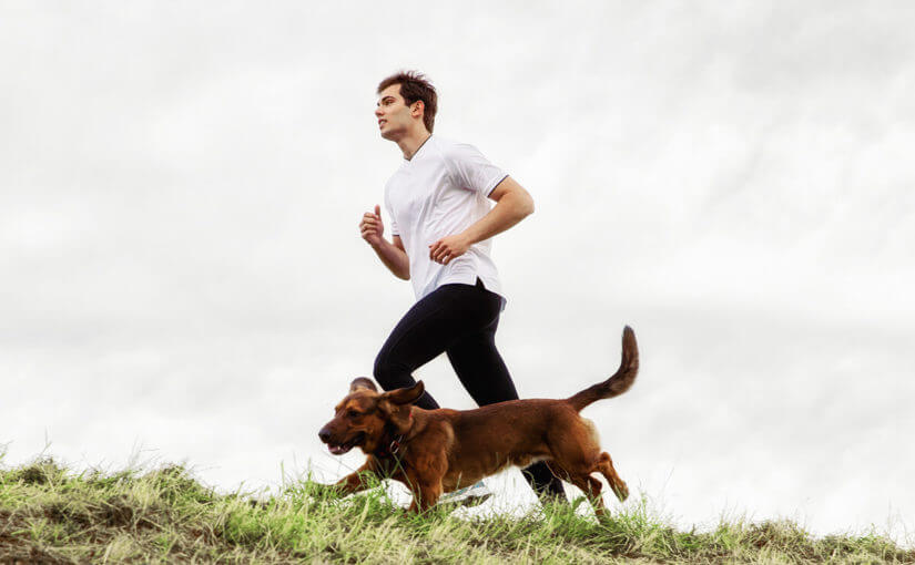 tips pet friendly para salir a correr en invierno