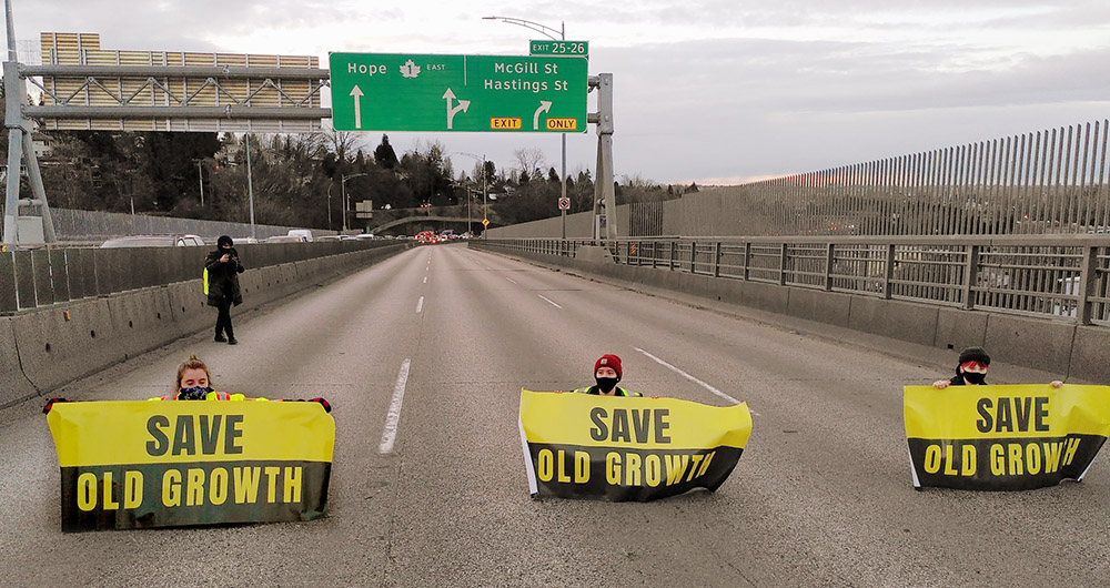 Three activists kneel across a raised motorway each holding Save Old Growth banners.