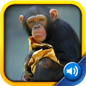 Toddler Tapping Zoo apk Download