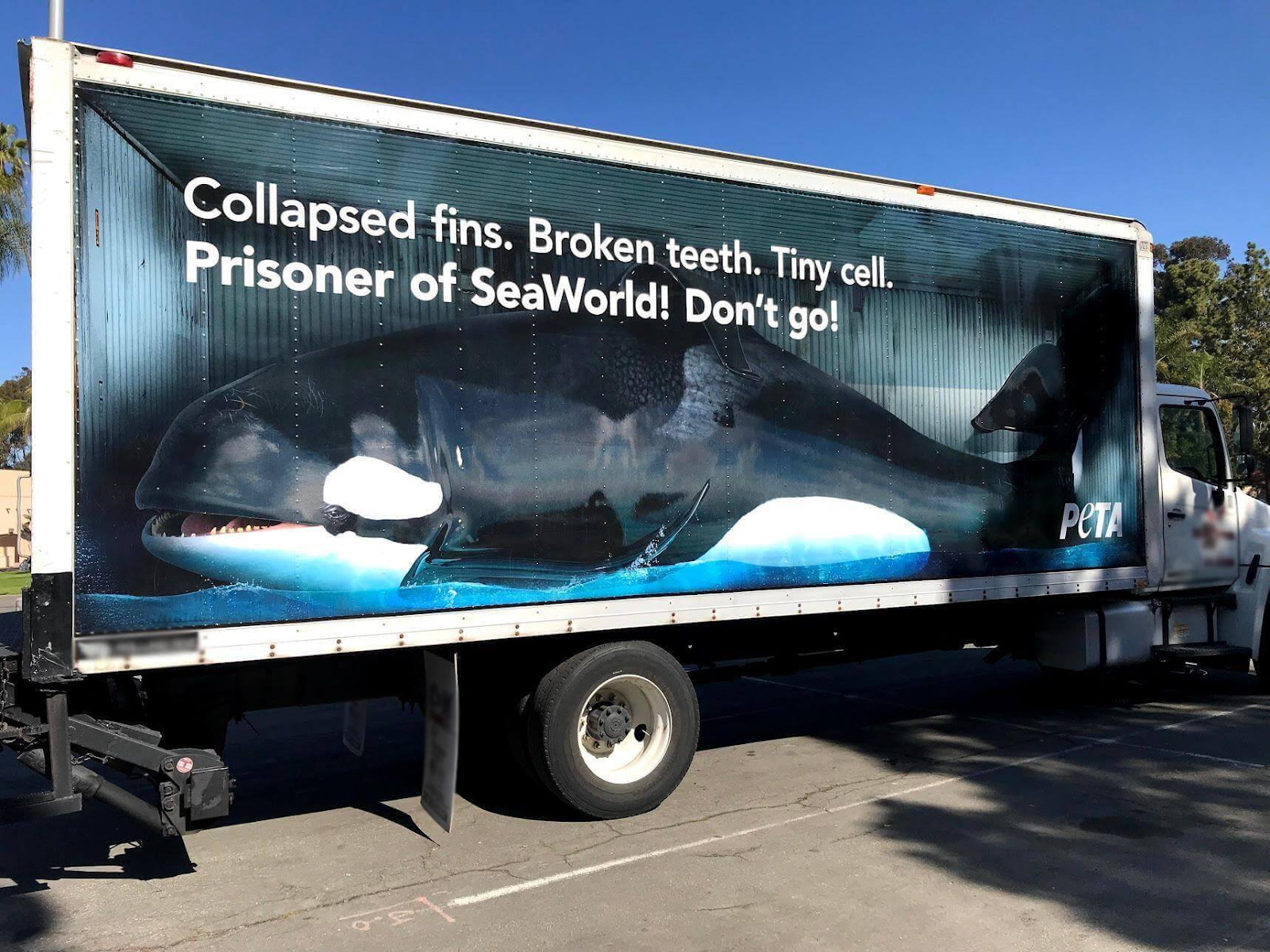 An image of a truck ad with a whale on it from the organisation PETA