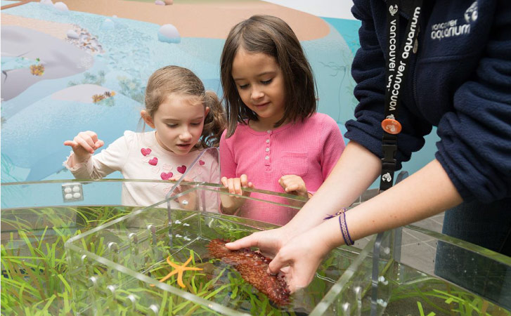 Two young girls are learning about sea life at the Vancouver Aquarium.