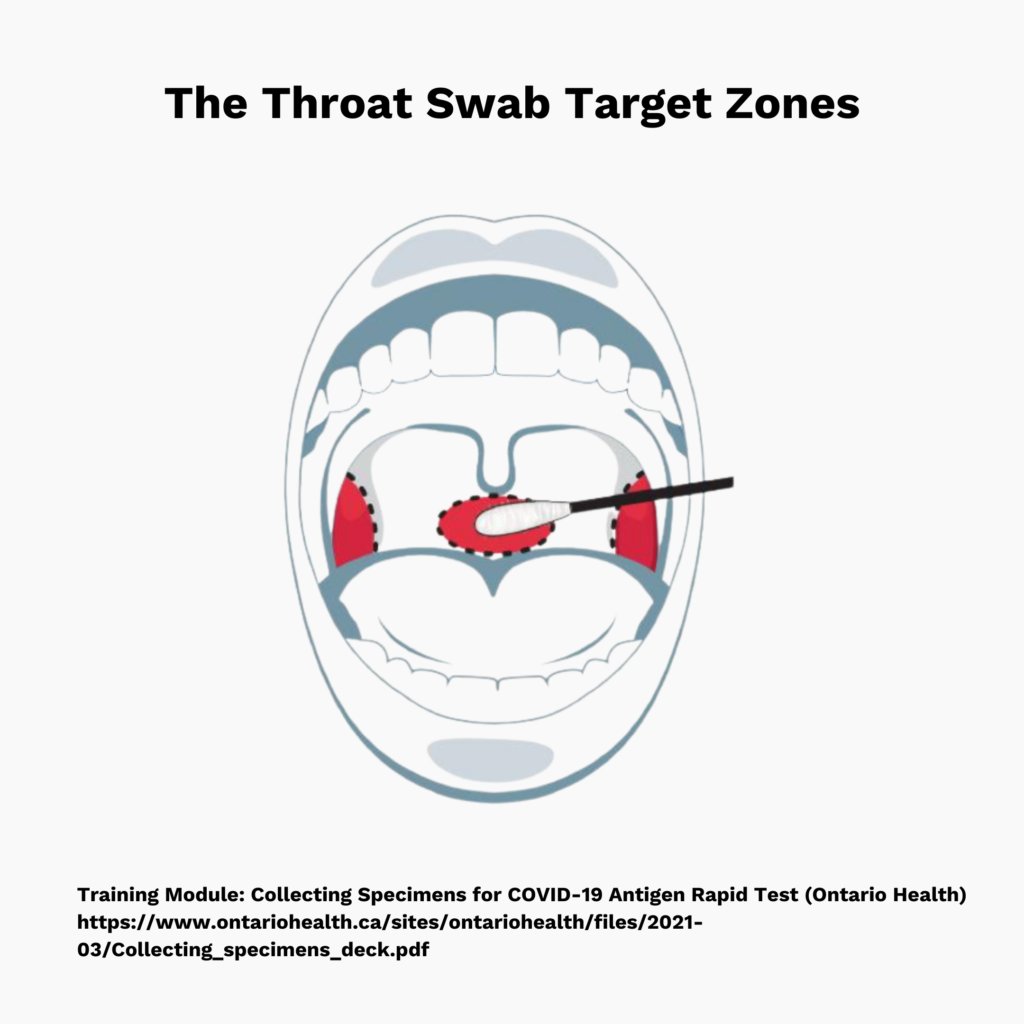 Picture is titled “The Throat Swab Target Zones”. Image is of an open mouth with a swab pointed at a central red ovular region. Two red ovular regions are on the left and right side of the mouth. The text at the bottom reads “Training module: Collecting Specimens for COVID-19 Antigen Rapid Test (Ontario Health) https://www.ontariohealth.ca/sites/ontariohealth/files/2021-03/Collecting_specimens_deck.pdf”
