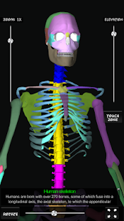 Bones Human 3D (anatomy) apk
