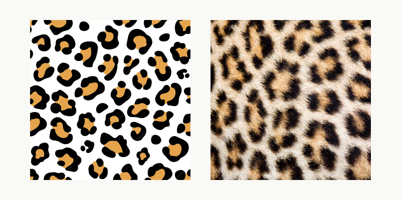 Leopard vs. Cheetah Print - What's the Difference? - Fancy Walls