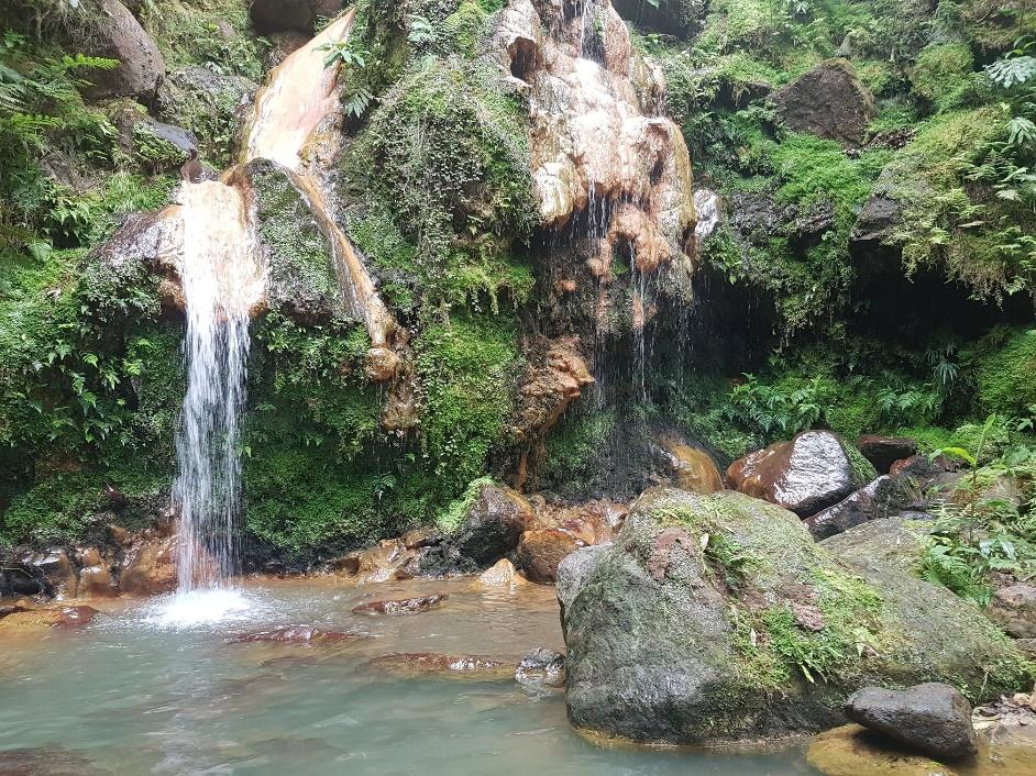 Una cascada en medio de un bosque

Descripción generada automáticamente con confianza media