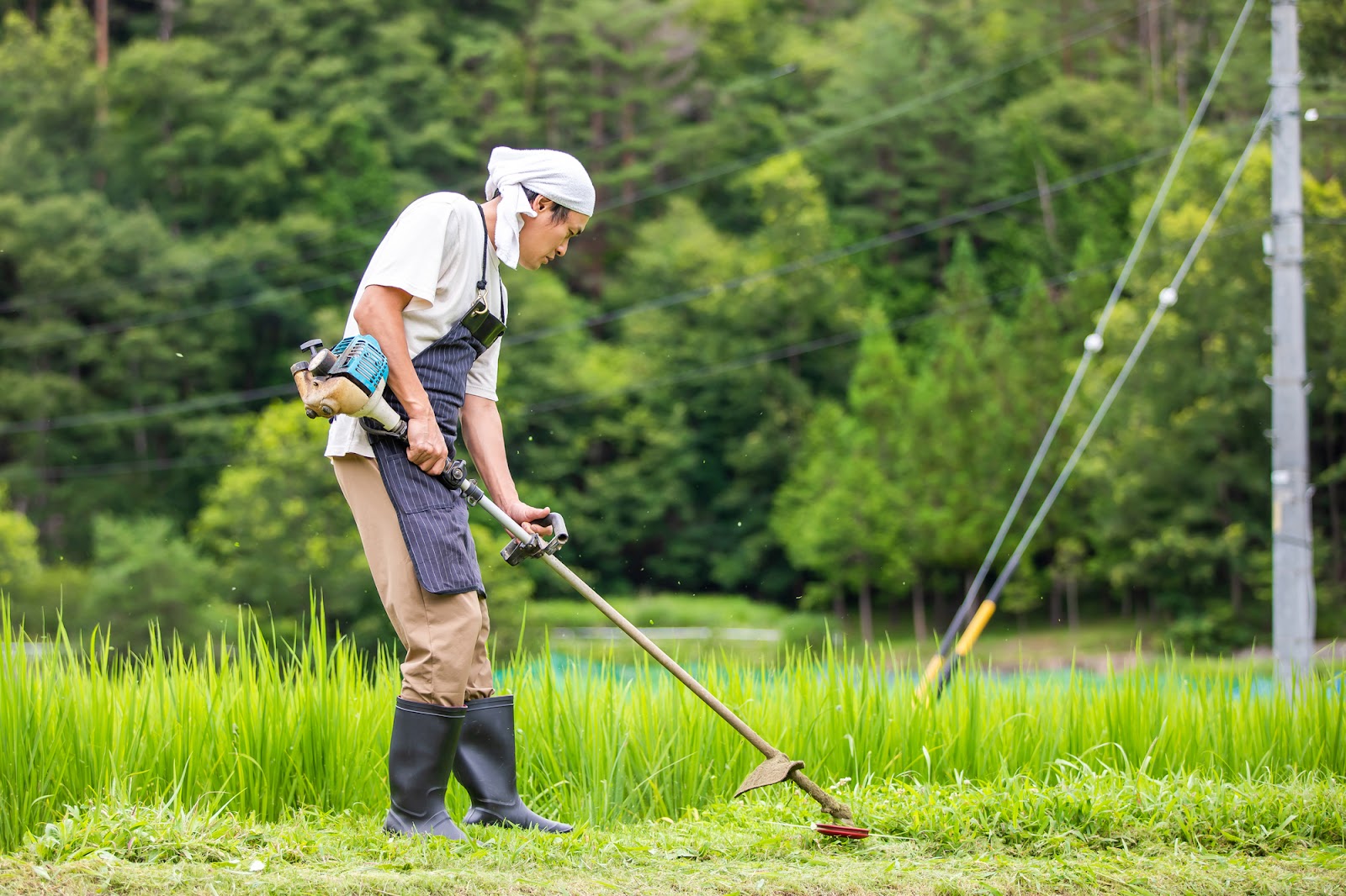 【新規就農者向け】農業で独立してから大変なことって？現役農家の声をランキング別で紹介【第一包装資材】