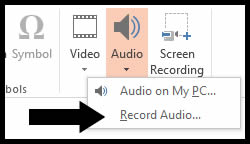 Record Audio.jpg