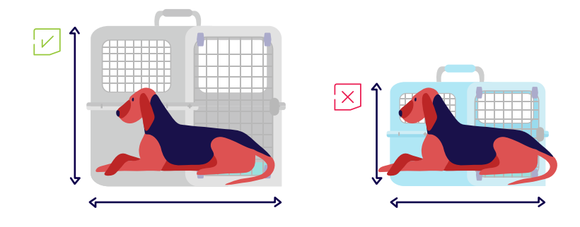 Latam Airlines pet carrier size
