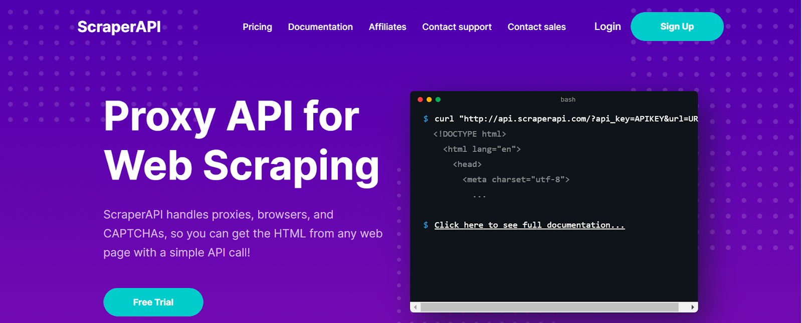 Home Page of ScraperAPI